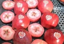 Bogatsza oferta jabłek o czerwonym miąższu