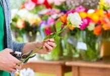 Bezpłatne szkolenie florystyczne w Broniszach