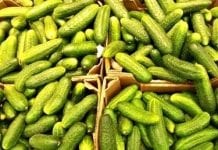 Bułgaria importuje 90% potrzebnych jej warzyw