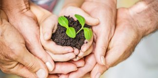 Światowy Dzień Ochrony Środowiska. Jak dbać o naturę nie tylko od święta?